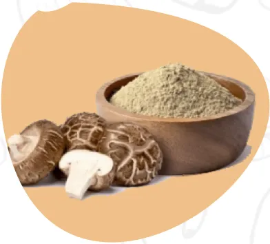 Mushroom Powder